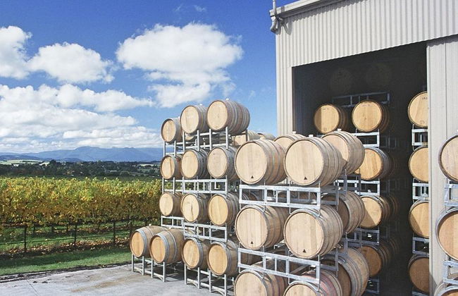Yarra Valley and Dandenong Ranges Scenic Tour - Foto 4